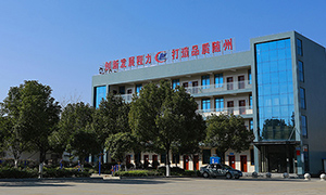 隨州經濟開發區程力小額貸款有限公司